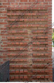 Photo Texture of Wall Bricks